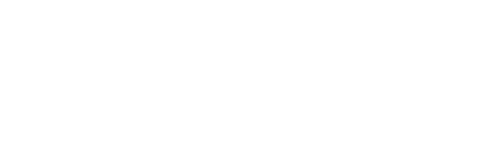 Ignite Logo White